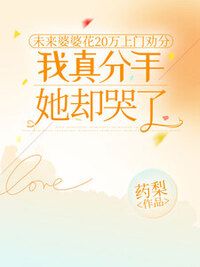岑安江驰在线阅读