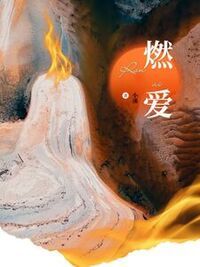 林意江寒微在线阅读
