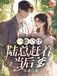 一胎三宝？陆总赶着当后爹在线阅读