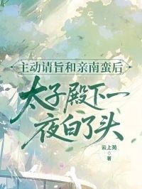 主动请旨和亲南蛮后，太子殿下一夜白了头在线阅读