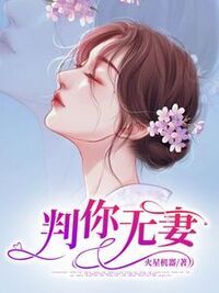 判你无妻在线阅读