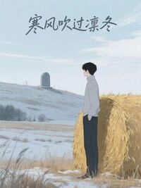 寒风吹过凛冬在线阅读
