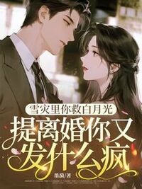 雪灾里你救白月光，提离婚你又发什么疯在线阅读