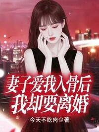 妻子爱我入骨后，我却要离婚在线阅读