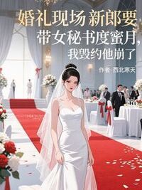 婚礼现场新郎要带女秘书度蜜月，我毁约他崩了在线阅读