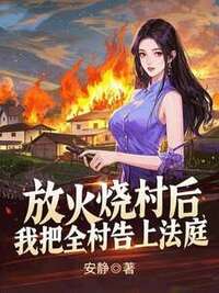 放火烧村后，我把全村告上法庭在线阅读