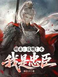 明末：反贼？不，我是忠臣在线阅读