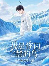 我是你囚禁的鸟在线阅读
