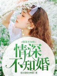 安夏季南廷在线阅读