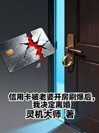 信用卡被老婆开房刷爆后，我决定离婚在线阅读
