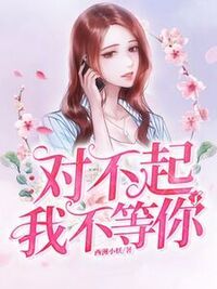 对不起，我不等你了在线阅读