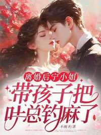 离婚后，宁小姐带孩子把叶总钓麻了在线阅读