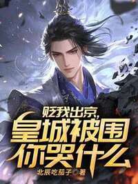 贬我出京，皇城被围你哭什么在线阅读