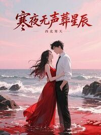 寒夜无声葬星辰在线阅读