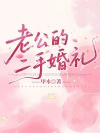 老公的二手婚礼在线阅读