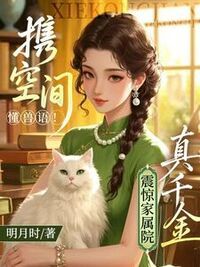 沈苒秦烈在线阅读