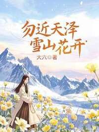 江雪宁程泽在线阅读