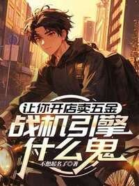 让你开店买五金，战机引擎什么鬼在线阅读