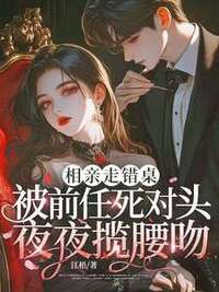 桑晚沈斫年在线阅读
