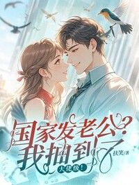 国家发老公？我抽到了大佬级！在线阅读
