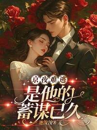 沈佳期李朝朝周京砚在线阅读