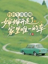 妈妈生我那晚，婶婶开走了家里唯一的车在线阅读