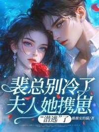 裴总别冷了，夫人她携崽“潜逃”了在线阅读