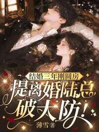 结婚三年刚圆房，提离婚陆总破大防！在线阅读