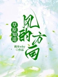 草原知道风的方向在线阅读