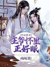 沈从心洛湛在线阅读