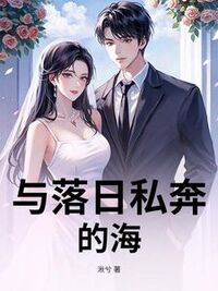 与落日私奔的海在线阅读