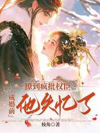 崔锦棠裴照在线阅读