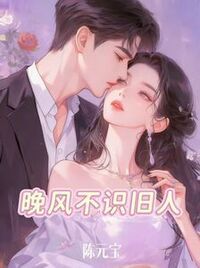 晚风不识旧人在线阅读