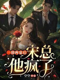 一别两宽后，宋总他疯了在线阅读