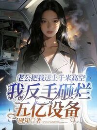 老公把我送上千米高空，我反手砸烂五亿设备在线阅读