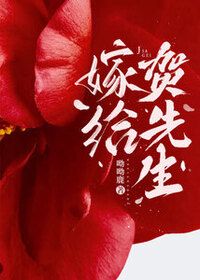嫁给贺先生在线阅读