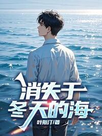 消失于冬天的海在线阅读