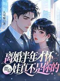 离婚半年才怀，贺总，娃真不是你的在线阅读