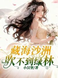 藏海沙洲吹不到绿林在线阅读