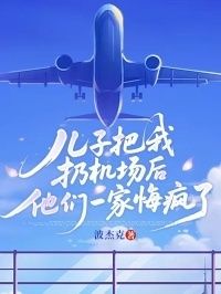 儿子把我扔机场后，他们一家悔疯了在线阅读