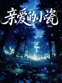 亲爱的小瓷在线阅读