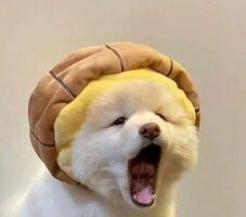 我妈的乖乖女行为规范app在线阅读