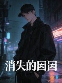 消失的囡囡在线阅读