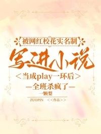 被网红校花实名制写进小说当成play一环后，全班杀疯了在线阅读