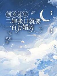回乡过年，二婶张口就要一百万婚房在线阅读