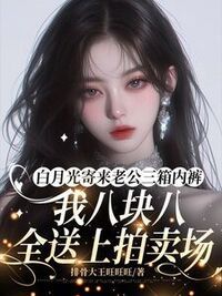 白月光寄来老公三箱内裤，我八块八全送上拍卖场在线阅读