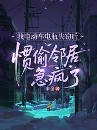 我电动车电瓶失窃后，惯偷邻居急疯了在线阅读