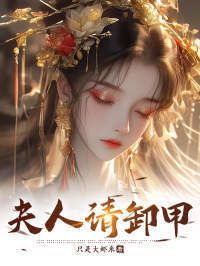 夫人请卸甲在线阅读