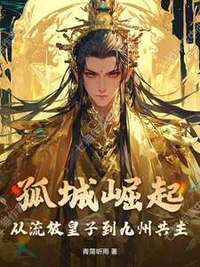 孤城崛起：从流放皇子到九州共主在线阅读