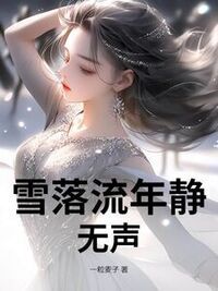 雪落流年静无声在线阅读